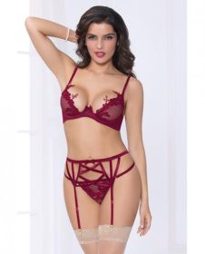 Netting Bra Lace Applique, Garter Belt & Thong Wine XL
